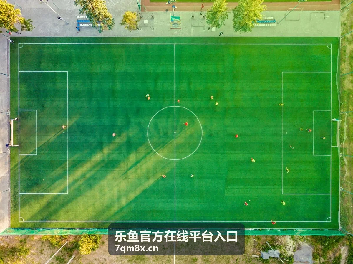 乐鱼官方在线平台入口游戏画面展示