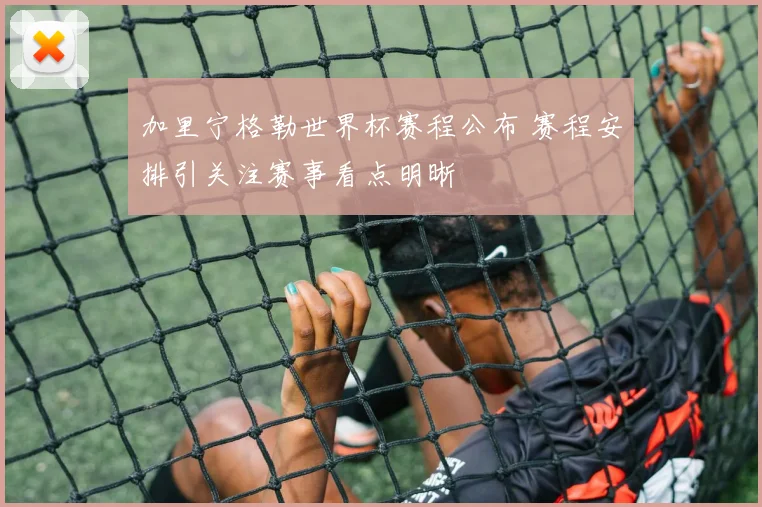 加里宁格勒世界杯赛程公布 赛程安排引关注赛事看点明晰