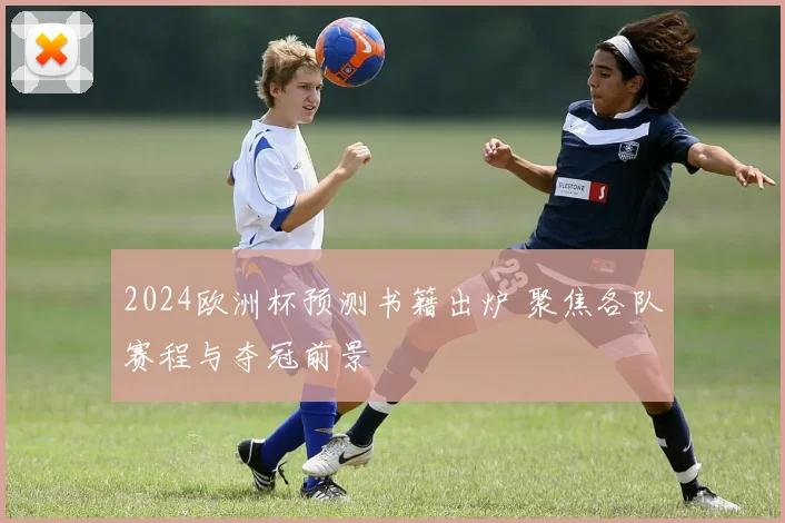 2024欧洲杯预测书籍出炉 聚焦各队赛程与夺冠前景