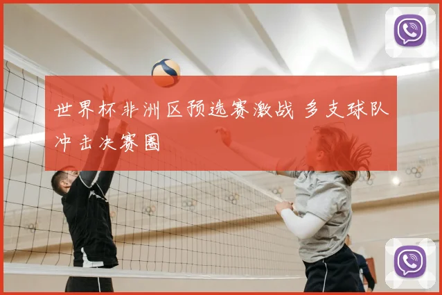 世界杯非洲区预选赛激战 多支球队冲击决赛圈