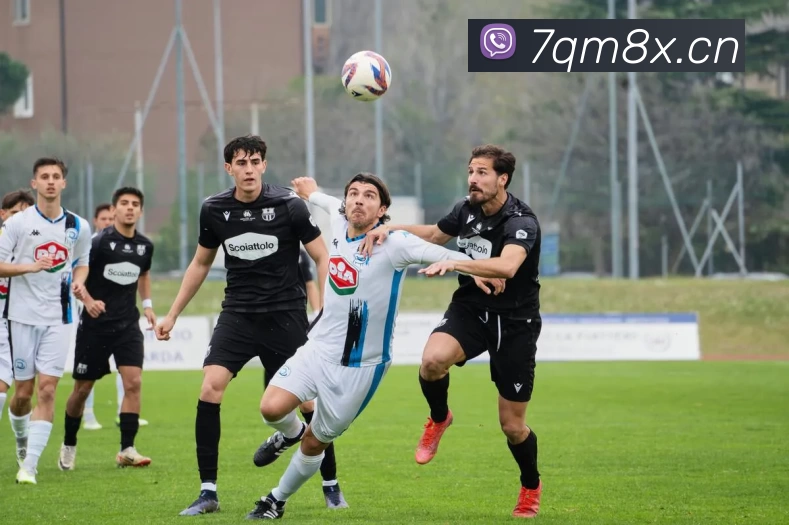 滚球买球的app官网服务体系